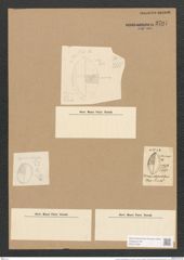 Cocconeis crebrestriata Grev. (de-Toni-Nr.: Genus 40, Species 1878) Zeichnungen Sammlung Grunow Nr. 3701 (NHMW-BOT-W0371329)